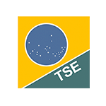 TSE